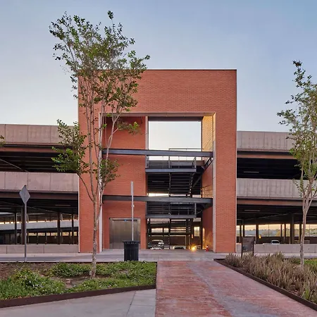 Ibis Torreon-3