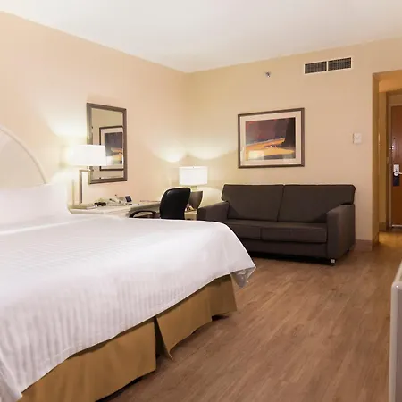 Holiday Inn Express Torreon By Ihg-2