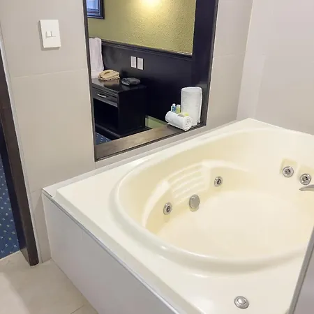 Holiday Inn San Luis Potosi-Quijote By Ihg-2