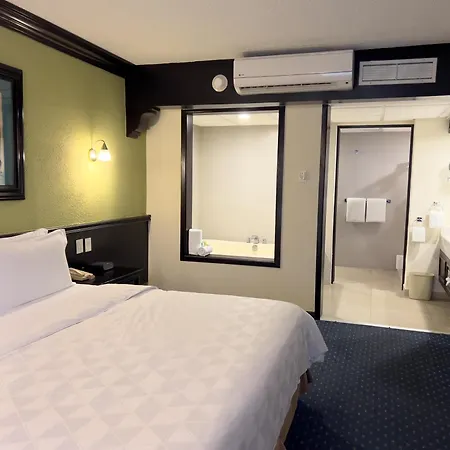 Holiday Inn San Luis Potosi-Quijote By Ihg-3