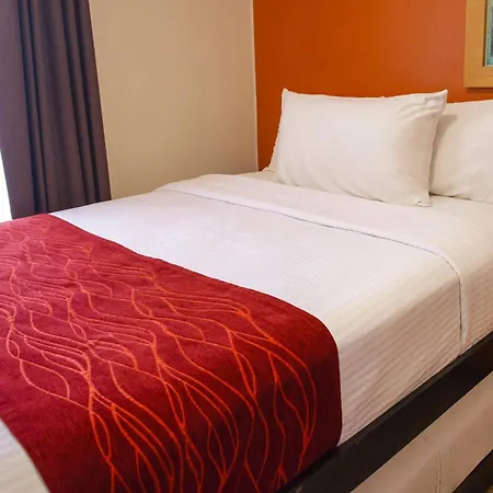 Comfort Inn San Luis Potosi-3
