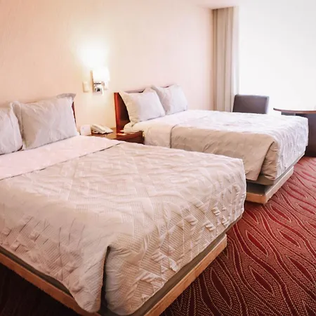Hotel Real Plaza Aguascalientes-2