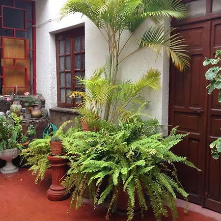 Hostal Don Felipe-3