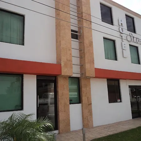 Hotel Santa Cruz Mochis-2