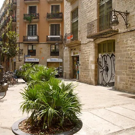 Hostal Nitzs Bcn-3