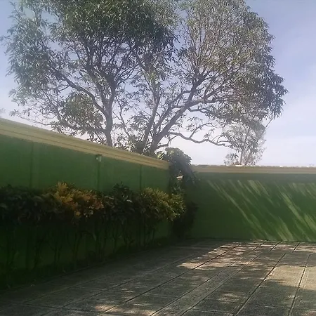 Hotel Suites Palmera-3