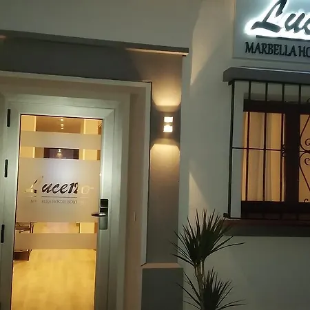 Lucero 12-2