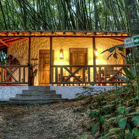 Hotel Bosques Del Saman Alcala-3
