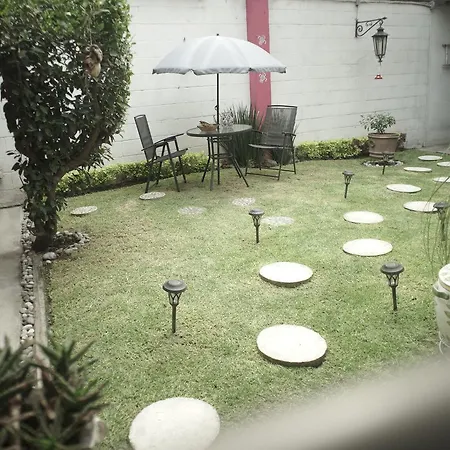Colibrí B&B-3
