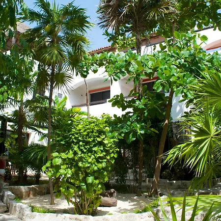 Pelicano Inn Playa del Carmen - Beachfront Hotel-3