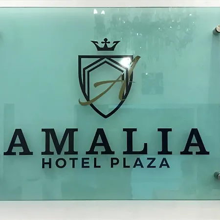Hotel Plaza Amalia-3