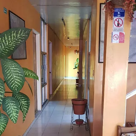 Hotel Don Jesus (Morelos)-3