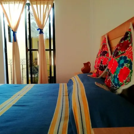 Casa Gecko-3