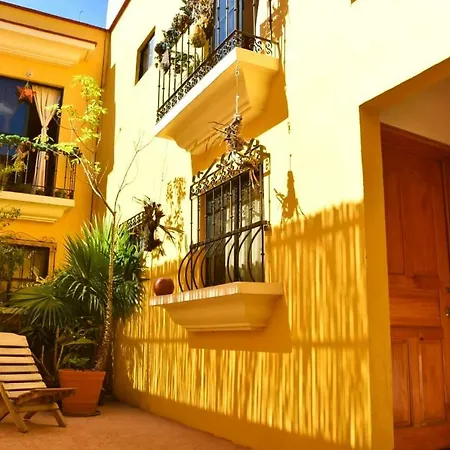 Casa Gecko-2