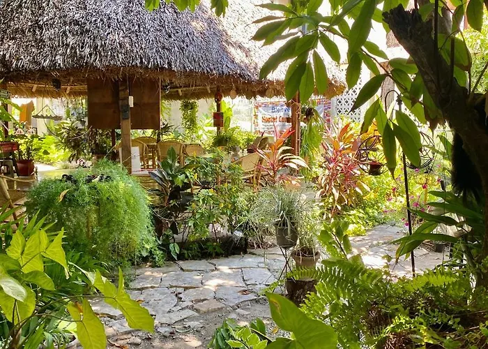 Hostal Casa Huasteca Ciudad Valles