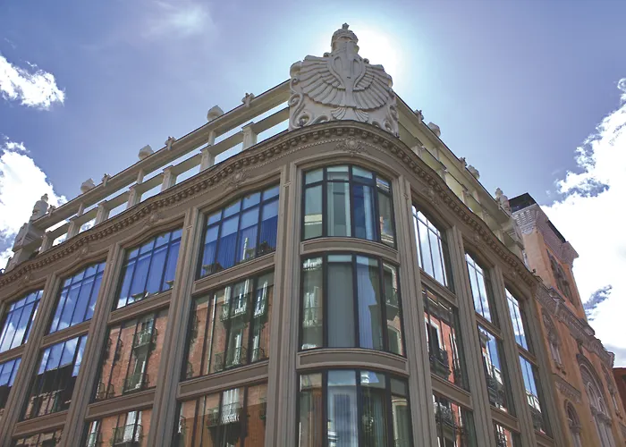 Room Mate Alicia Madrid