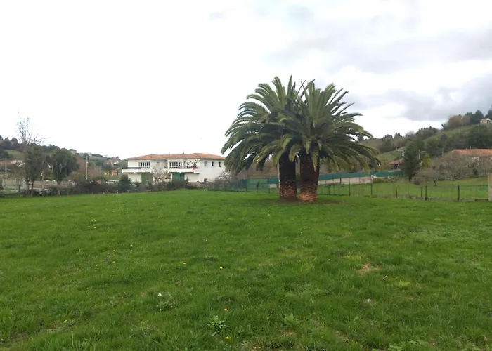 Las Palmeras Gijón
