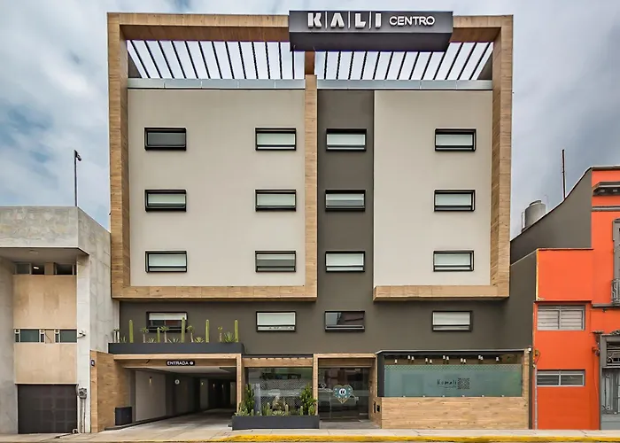 Kali Centro México DF