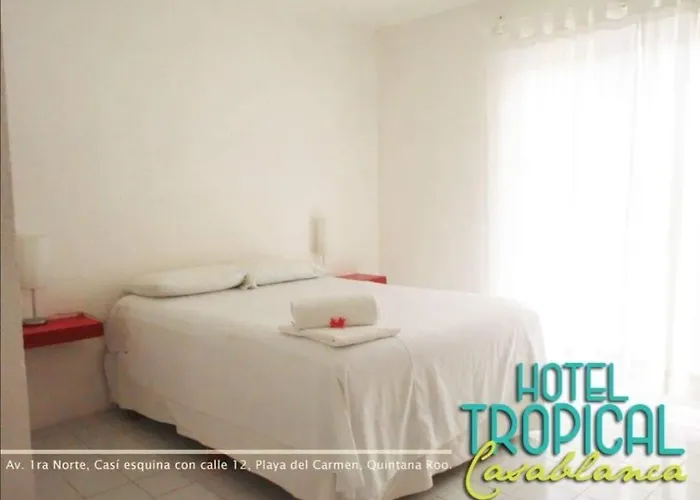 Hotel El tropical playa del carmen