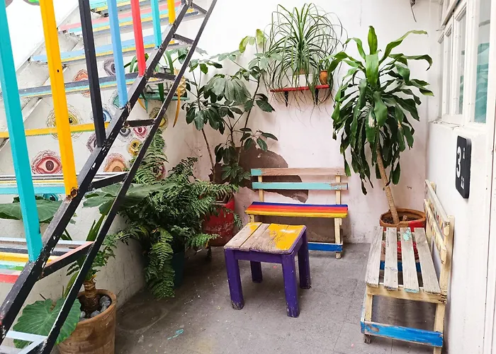 Monkey Safari Hostel Querétaro