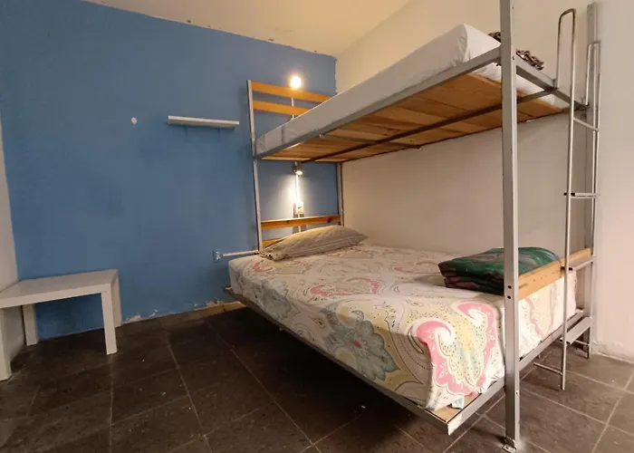 Monkey Safari Hostel Querétaro