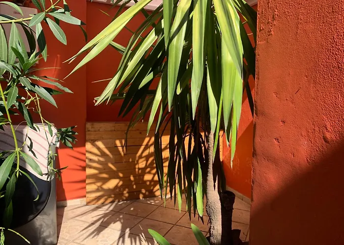 Villa Coyoacan México DF