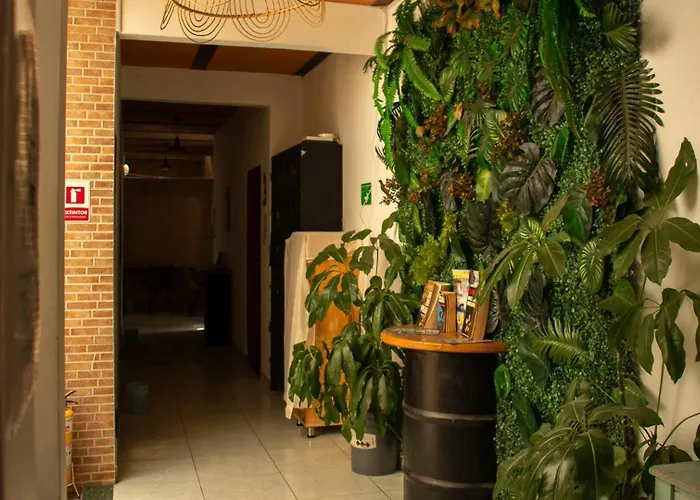 Oasis Hostel Medellín