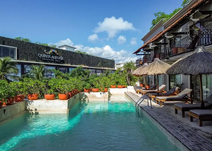 Caribbean Paradise Hotel & Spa - 5Th Avenue Playa del Carmen