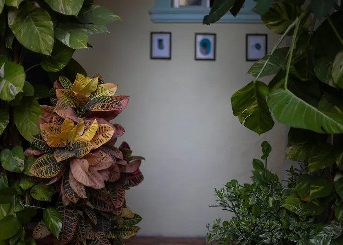 Hotel Santa Ana Mérida