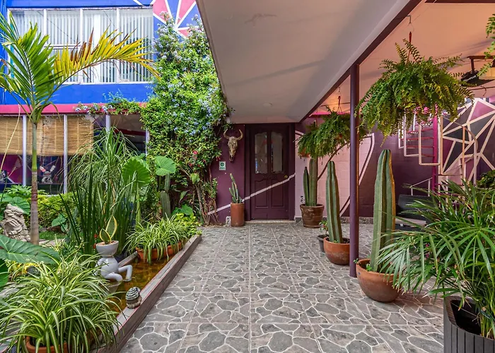 Welcome to... Casa Maguey. México DF