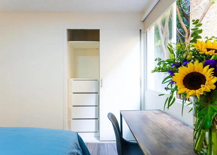 Private Room #3 In A 4 Bedroom Guest House In Roma Norte, México DF