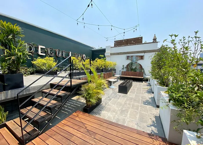 Hotel Pug Seal Polanco Anatole France México DF