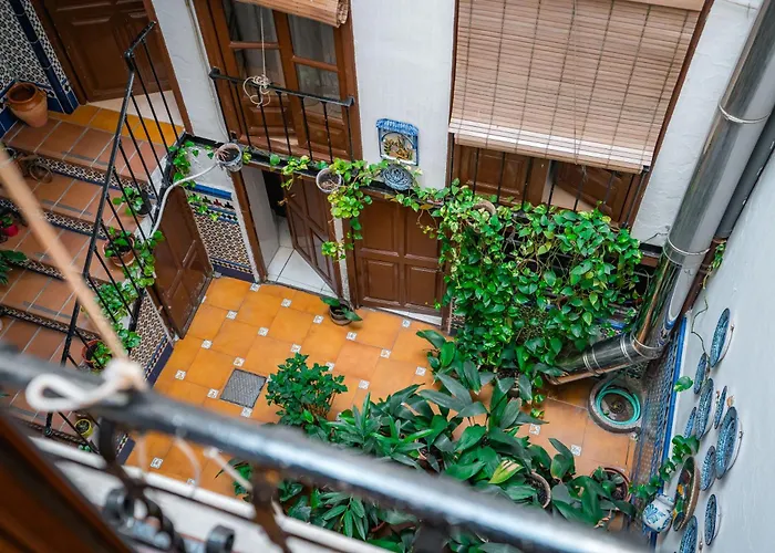 Veronica Centro Granada