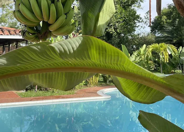 Hotel Muchosur Quimbaya