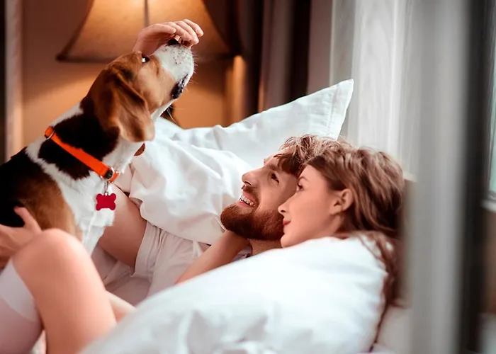 Holiday Inn&Suites - Aguascalientes, an IHG Hotel