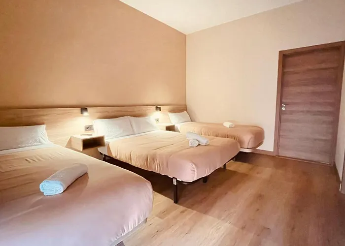 Optimus Comfort Campoamor 101 Valencia