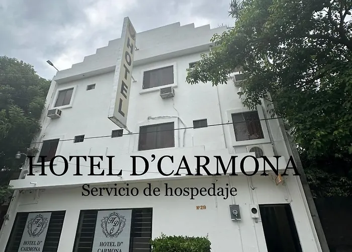 Hotel D' Carmona Ciudad Valles