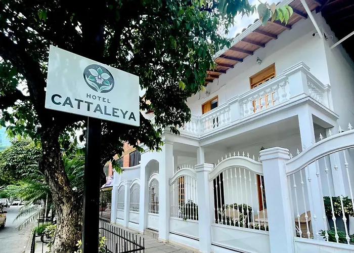 Hotel Cattaleya City Cali