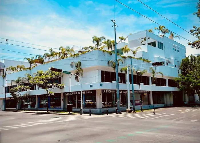 La casa de las palmeras Guadalajara