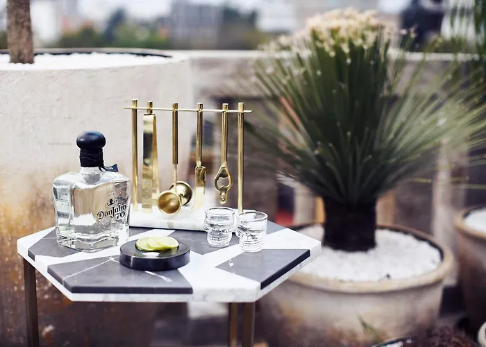 Hotel Frida by Viadora México DF