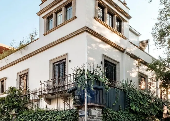 Hotel Pug Seal Polanco Anatole France México DF