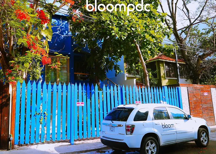 Bloom! Exclusive Boutique B&B (Adults Only) Playa del Carmen