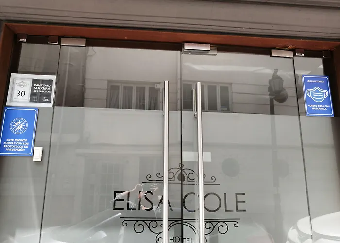 Hotel Elisa Cole Santiago de Chile