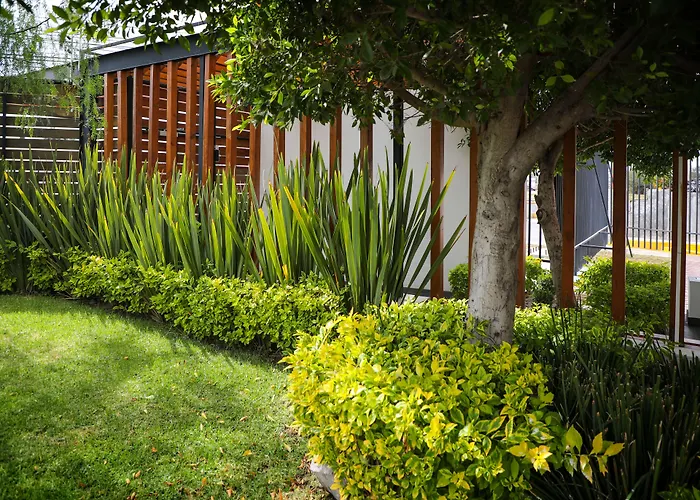 Zimmer Suites Aguascalientes