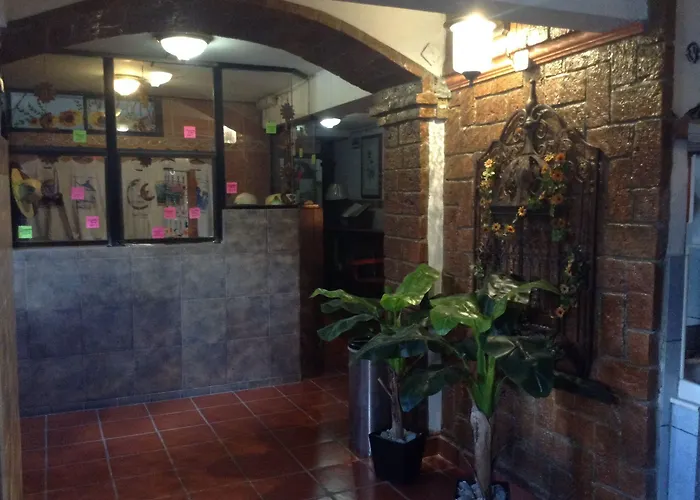 Hotel Terranova Tampico