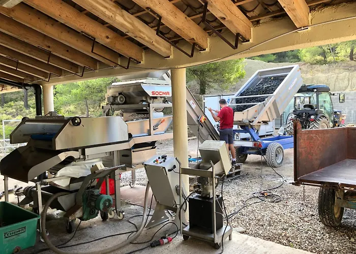 Château Catherine de Montgolfier - B&B et Gites - Piscine - Domaine viticole bio avec dégustation Narbona