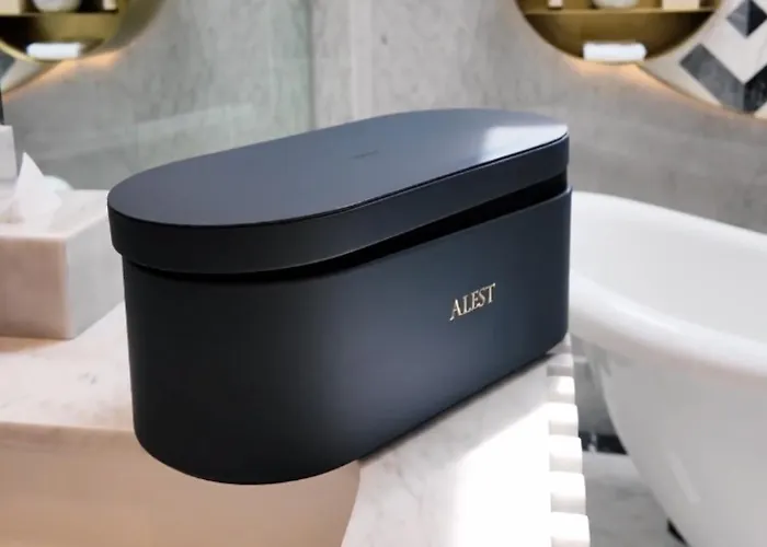 The Alest Hotel México DF