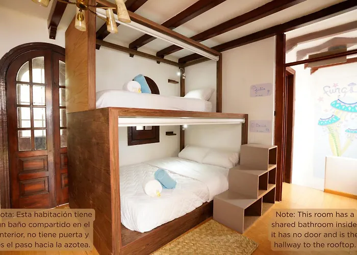 Hostal Fungi Casa Rosa México DF