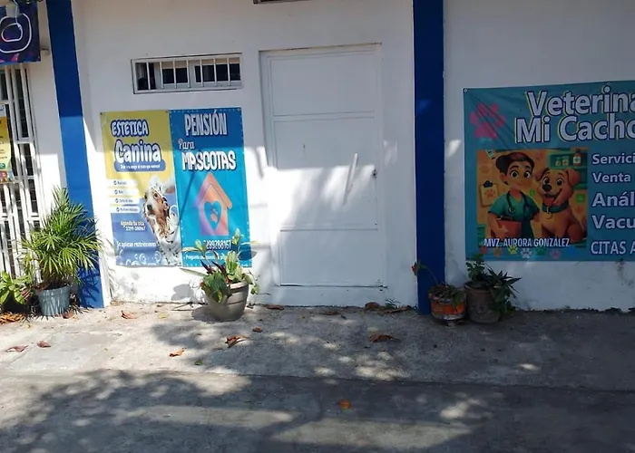 Rinconcito Veracruzano