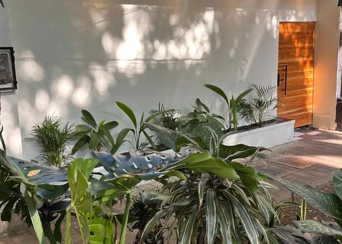 Primavera Hotel Medellín